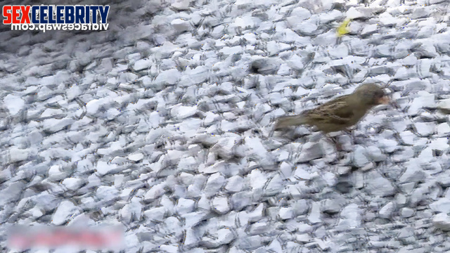 Emma Watson internet celebrity wants to love him sweet / real fake